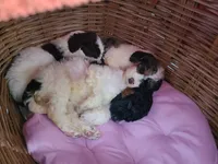 processed/10a07667-9f81-46c0-8327-8396e6093685/listing/8a80dc34-6abe-480f-9f79-8d1eb36d6d2c/51db6dba-6e8f-4818-af4e-23ac1307d0d5