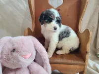 processed/10a07667-9f81-46c0-8327-8396e6093685/listing/8a80dc34-6abe-480f-9f79-8d1eb36d6d2c/c3487fd0-ff22-4dfe-ad8b-4097cc9eafd8