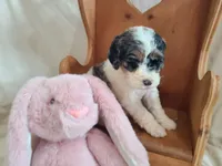 processed/10a07667-9f81-46c0-8327-8396e6093685/listing/8a80dc34-6abe-480f-9f79-8d1eb36d6d2c/da1604b5-85c4-4c86-b268-72afbb6d712a