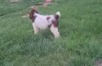 processed/10a07667-9f81-46c0-8327-8396e6093685/listing/dfb33753-962f-4499-aaa8-360ae9dab7e8/641e4076-2a20-461d-9308-26170ca77e85