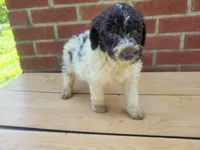 processed/10a07667-9f81-46c0-8327-8396e6093685/listing/dfb33753-962f-4499-aaa8-360ae9dab7e8/b5947d18-f407-4512-9110-ff4e95532fdc