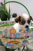 processed/10a1924e-600b-487b-88e8-e9ec5adfc28e/facility/05198c36-11e9-4420-981a-7d30a5326f20