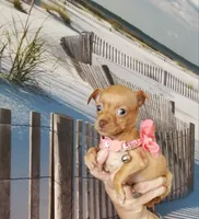 processed/10a1924e-600b-487b-88e8-e9ec5adfc28e/facility/bc5a72d0-d8b8-4da8-8b33-91e16a0594f9