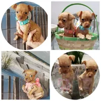 processed/10a1924e-600b-487b-88e8-e9ec5adfc28e/facility/c4b8b789-fa66-4eb5-9aa6-3323776ec7b2