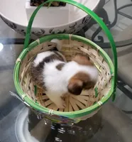 processed/10a1924e-600b-487b-88e8-e9ec5adfc28e/facility/dbdb9be4-bd7e-4ac4-954b-6bf09080e524