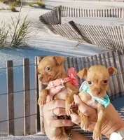 processed/10a1924e-600b-487b-88e8-e9ec5adfc28e/facility/dc804dc0-720b-48e0-b1c2-c1aa2ea61ea3