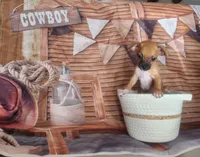 Kim, a male Chihuahua for sale in Cape Coral, FL – 3 of 3