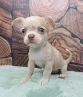 processed/10a3c1fc-2d20-4e19-b7c4-61d3837b1288/listing/1cbc7fd6-6233-4bf8-8fff-e6ce75b07143/05664548-14f4-428d-b611-95aed12d43cc