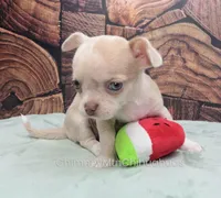 processed/10a3c1fc-2d20-4e19-b7c4-61d3837b1288/listing/1cbc7fd6-6233-4bf8-8fff-e6ce75b07143/0da0bc55-1748-478e-b966-a79bbddc74fb