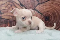 processed/10a3c1fc-2d20-4e19-b7c4-61d3837b1288/listing/1cbc7fd6-6233-4bf8-8fff-e6ce75b07143/21c11be1-b85a-47e4-ba44-118b17dda3df