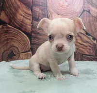 processed/10a3c1fc-2d20-4e19-b7c4-61d3837b1288/listing/1cbc7fd6-6233-4bf8-8fff-e6ce75b07143/3657c157-997a-4dab-a7c1-e28beda79af4