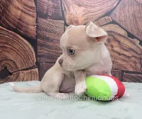 processed/10a3c1fc-2d20-4e19-b7c4-61d3837b1288/listing/1cbc7fd6-6233-4bf8-8fff-e6ce75b07143/6ece021b-3784-4ef4-b884-578222becaab