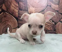 processed/10a3c1fc-2d20-4e19-b7c4-61d3837b1288/listing/1cbc7fd6-6233-4bf8-8fff-e6ce75b07143/bbb9fe4d-c6d5-48c4-8763-3c82826c7a12