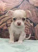 processed/10a3c1fc-2d20-4e19-b7c4-61d3837b1288/listing/1cbc7fd6-6233-4bf8-8fff-e6ce75b07143/cb856259-1e22-47f3-89a4-613eb98d66c0