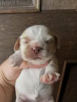 processed/10a7af0d-b79f-4280-98a6-a5611b0f906c/listing/16f11016-3f5a-4843-8817-52a3a3834927/159552d2-31cb-45ce-b24f-8215f9d97166