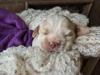 processed/10a7af0d-b79f-4280-98a6-a5611b0f906c/listing/16f11016-3f5a-4843-8817-52a3a3834927/19acf9eb-62ab-482e-bb15-c2b5f577cc01