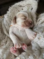 processed/10a7af0d-b79f-4280-98a6-a5611b0f906c/listing/16f11016-3f5a-4843-8817-52a3a3834927/9b7455f6-5057-41fa-9932-7e5699fcbfd5