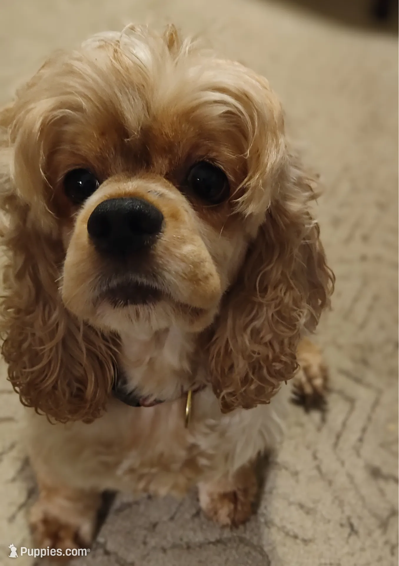 processed/10a7af0d-b79f-4280-98a6-a5611b0f906c/listing/16f11016-3f5a-4843-8817-52a3a3834927/bb17ae75-3da5-42a2-be4e-1d564f1d8bfc