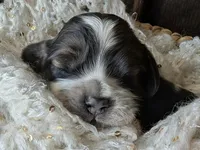 processed/10a7af0d-b79f-4280-98a6-a5611b0f906c/listing/873c6b5e-6af9-45b4-920e-e7c900edae6e/6cf1a21c-7231-4a15-bd7f-a43c16af5f27