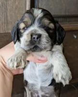 processed/10a7af0d-b79f-4280-98a6-a5611b0f906c/listing/873c6b5e-6af9-45b4-920e-e7c900edae6e/e28d42a3-2155-4edf-8cde-fefa4c1c796b