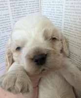 processed/10a7af0d-b79f-4280-98a6-a5611b0f906c/listing/e70e6237-0563-42f6-b346-88b76e0a5f9f/20812904-7b25-4b9d-b5e0-13bfb3908608