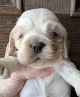 processed/10a7af0d-b79f-4280-98a6-a5611b0f906c/listing/e70e6237-0563-42f6-b346-88b76e0a5f9f/478410fa-d2b9-4066-968c-0b3228885641