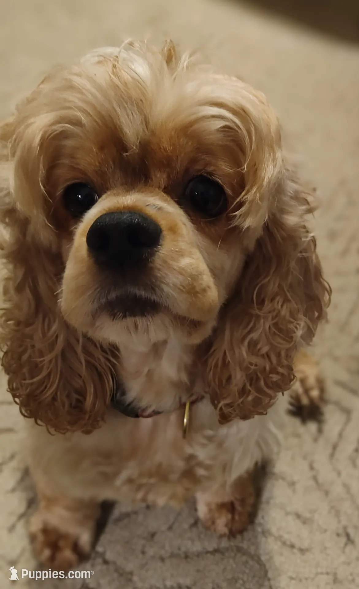 processed/10a7af0d-b79f-4280-98a6-a5611b0f906c/listing/e70e6237-0563-42f6-b346-88b76e0a5f9f/f91f3729-0ccd-4633-8636-502006df977a