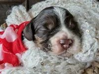 processed/10a7af0d-b79f-4280-98a6-a5611b0f906c/listing/f394834e-f158-47e4-b09c-8d4389ba3d62/02673704-c9e6-4cc2-a8ee-c7f3e24868a3