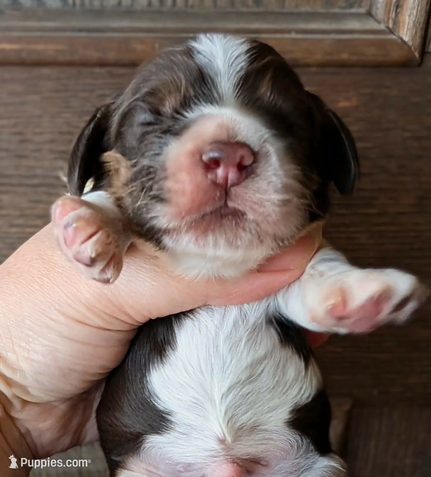 processed/10a7af0d-b79f-4280-98a6-a5611b0f906c/listing/f394834e-f158-47e4-b09c-8d4389ba3d62/660dd27a-6701-45da-9633-c4a10800e169