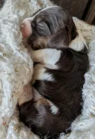 processed/10a7af0d-b79f-4280-98a6-a5611b0f906c/listing/f394834e-f158-47e4-b09c-8d4389ba3d62/7064cbb1-40f0-4add-8175-fdc69a455f5a