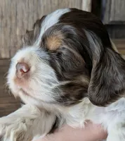 processed/10a7af0d-b79f-4280-98a6-a5611b0f906c/listing/f394834e-f158-47e4-b09c-8d4389ba3d62/75f75855-9b24-4863-baff-29f4623a7600