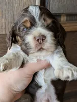 processed/10a7af0d-b79f-4280-98a6-a5611b0f906c/listing/f394834e-f158-47e4-b09c-8d4389ba3d62/950031a2-ee5e-4fbb-976b-2afe3b8635a0