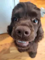 processed/10a7af0d-b79f-4280-98a6-a5611b0f906c/listing/feaab147-e6bb-4594-8b18-6804db2a1890/13831fb2-294f-4d97-92a1-26e4f93f2e8d