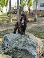 processed/10a7af0d-b79f-4280-98a6-a5611b0f906c/listing/feaab147-e6bb-4594-8b18-6804db2a1890/650f318a-6518-4ad5-8363-de3eb6bea31d