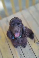 processed/10a7af0d-b79f-4280-98a6-a5611b0f906c/listing/feaab147-e6bb-4594-8b18-6804db2a1890/a029040f-fa8d-45cb-889b-c5829fd22218