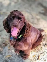 processed/10a7af0d-b79f-4280-98a6-a5611b0f906c/listing/feaab147-e6bb-4594-8b18-6804db2a1890/ad2ed3a6-ec13-47a2-8c5d-b6a1881b0540