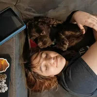 Tyrion, a male Cocker Spaniel for sale in Columbia, SC – Photo 6 of 9