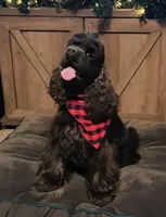 processed/10a7af0d-b79f-4280-98a6-a5611b0f906c/listing/feaab147-e6bb-4594-8b18-6804db2a1890/c5c69e79-c9c2-47f7-9acf-ca6aeb890d46