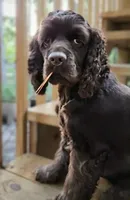 processed/10a7af0d-b79f-4280-98a6-a5611b0f906c/listing/feaab147-e6bb-4594-8b18-6804db2a1890/fd12d052-bb6c-4131-8dd1-ecf0ef258930