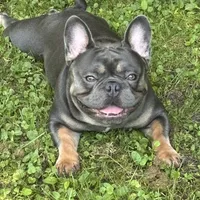 processed/10ab5744-affb-4494-b849-98712cd79e47/facility/6464f0e6-5960-4d2f-a158-c2665fdf678c