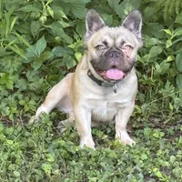 processed/10ab5744-affb-4494-b849-98712cd79e47/facility/b1c886ac-5d06-4c99-a902-84ecc7823939