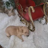 processed/10b99ffb-e2b0-4362-9d65-387818704a38/listing/34e1ab93-b63b-4aeb-b4fc-dab506d21850/3d850b80-645c-46a7-a4ed-af3c50140e3b