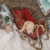 processed/10b99ffb-e2b0-4362-9d65-387818704a38/listing/34e1ab93-b63b-4aeb-b4fc-dab506d21850/3e66e6b8-ec99-4e9d-b4c7-bfc24be1679f