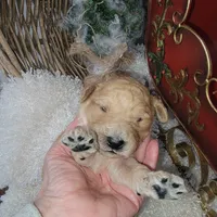 processed/10b99ffb-e2b0-4362-9d65-387818704a38/listing/34e1ab93-b63b-4aeb-b4fc-dab506d21850/57c8c518-17fd-44f4-8958-63f117ed4bab