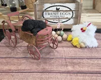 Nasuada , a female Poodle - Multi-Colored Standard for sale in Liberty Center, OH – 4 of 6