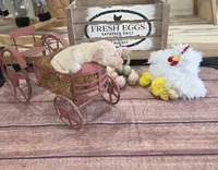 Roran , a male Poodle - Multi-Colored Standard for sale in Liberty Center, OH – 2 of 5