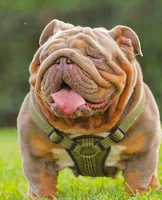 processed/10be26d8-7497-489d-8f2a-02945388b5b5/listing/8073c539-e9f8-4340-b99b-410d282a6d28/2a3806d1-a5b5-481b-baa7-e1e44bd115ba