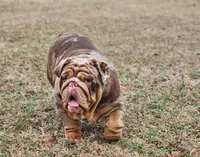 processed/10be26d8-7497-489d-8f2a-02945388b5b5/listing/8073c539-e9f8-4340-b99b-410d282a6d28/6273b6e2-2151-4c3a-85b4-4b7f9234423f