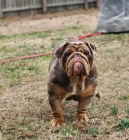 processed/10be26d8-7497-489d-8f2a-02945388b5b5/listing/8073c539-e9f8-4340-b99b-410d282a6d28/78199466-5fba-4704-8dfe-9a4082a4a579