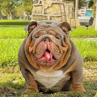 processed/10be26d8-7497-489d-8f2a-02945388b5b5/listing/8073c539-e9f8-4340-b99b-410d282a6d28/f06b271c-176b-4131-bd51-fe281ef588b3